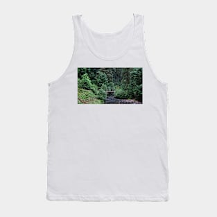 Silver Falls State Park Oregon Tank Top